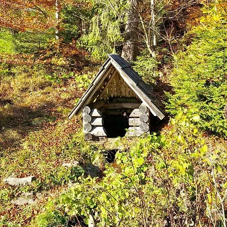 Penzionu Hrubjak * Orawska Półgóra