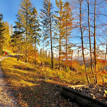 Penzionu Hrubjak Orawska Półgóra