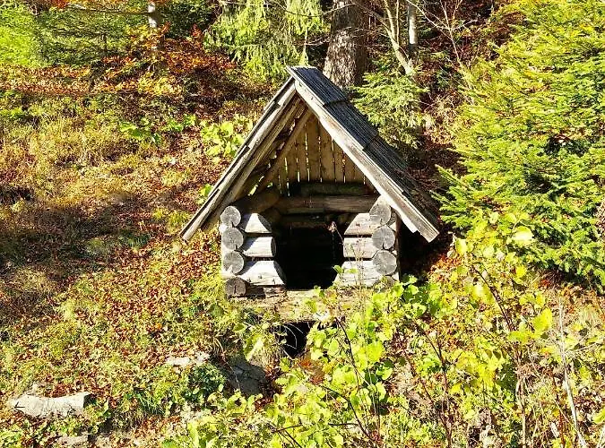 Penzionu Hrubjak * Oravská Polhora