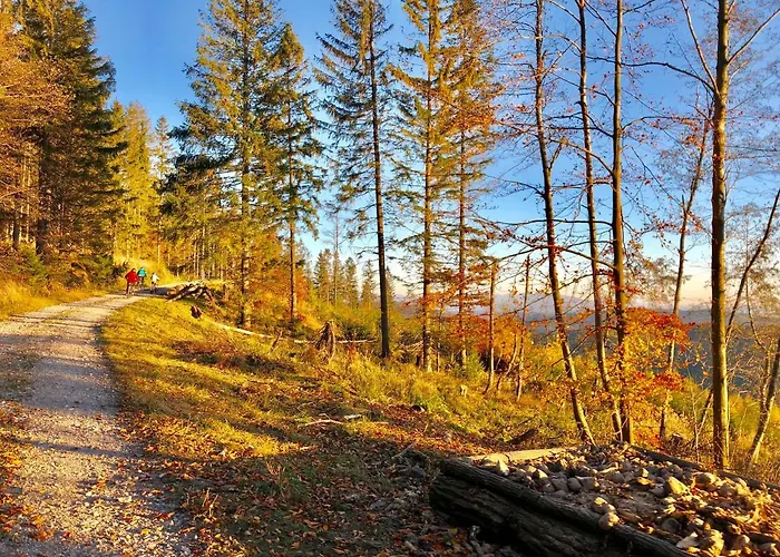 Penzionu Hrubjak Oravska Polhora